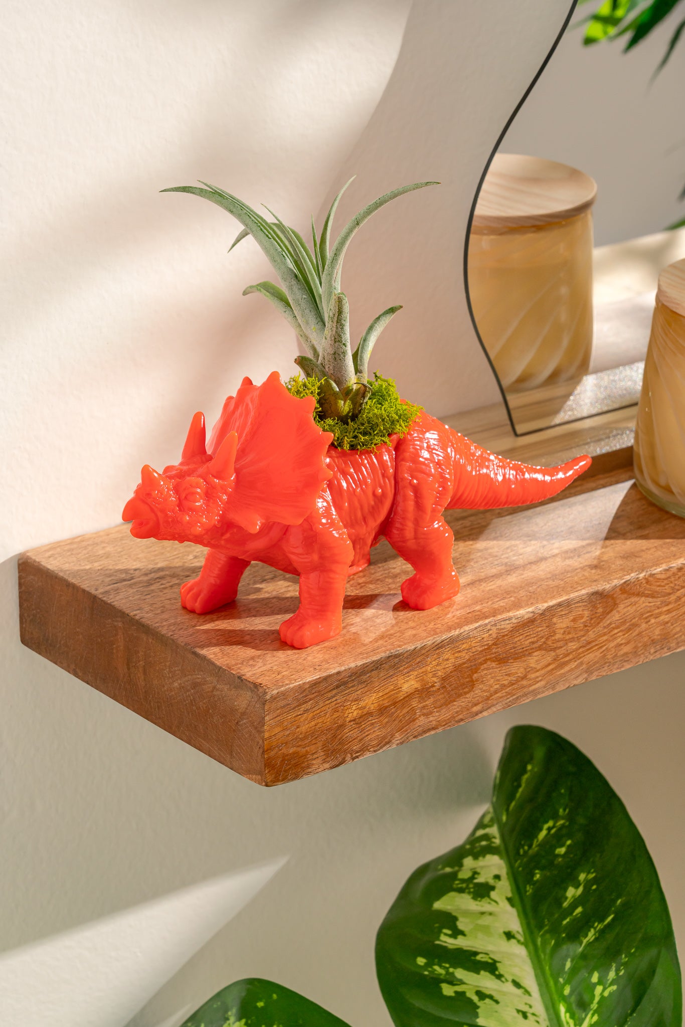 Red Orange Dinosaur Triceratops Planter with Air Plant