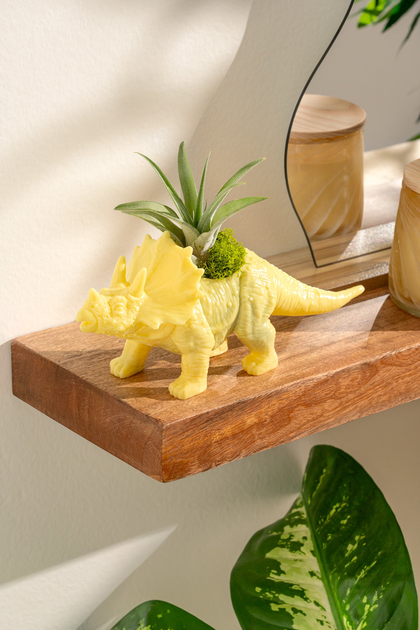 Soft Yellow Dinosaur Triceratops Planter with Air Plant
