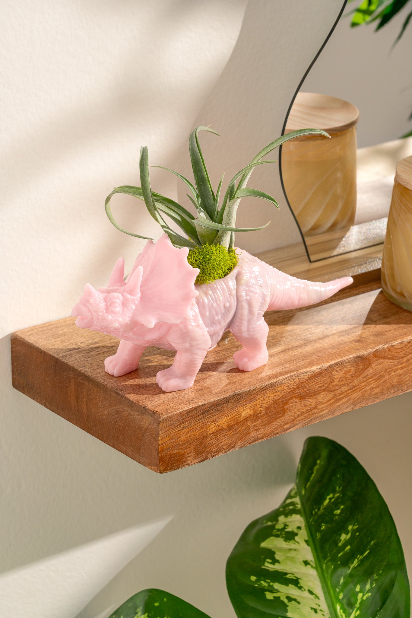 Light Pink Dinosaur Triceratops Planter with Air Plant